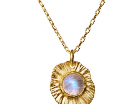 Maanesten - Astra Necklace  2652a - Coated With 18k Gold. Online Sale