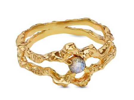 Maanesten - Shelly Ring 4738a - Coated With 18k Gold. For Cheap